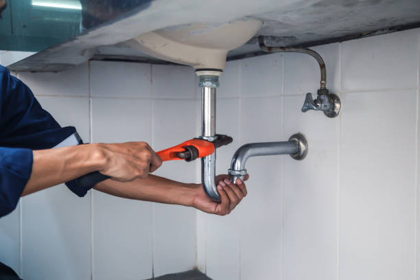 Best Sprinkler Systems  in Winsted, MN
