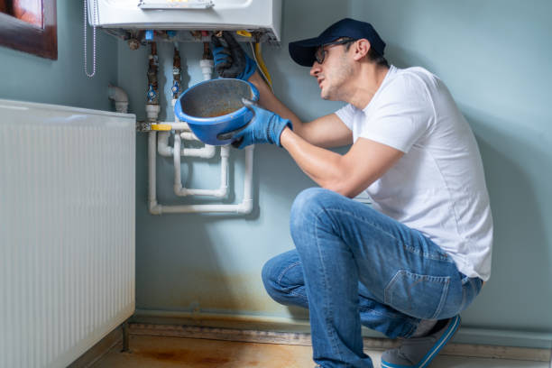 Best Plumbing Services Near Me  in Winsted, MN